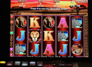 So米体育下载2024最新版