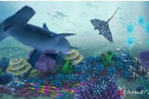 So米体育下载2024最新版